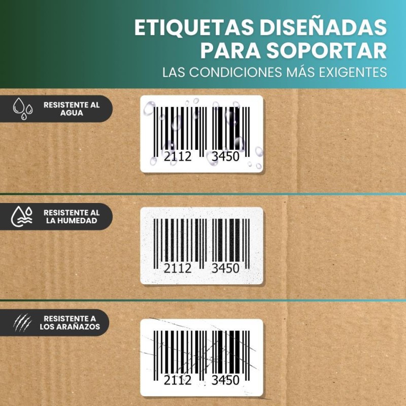 ETIQUETA DK22205 62mm x 30 48m 1 ROLLO